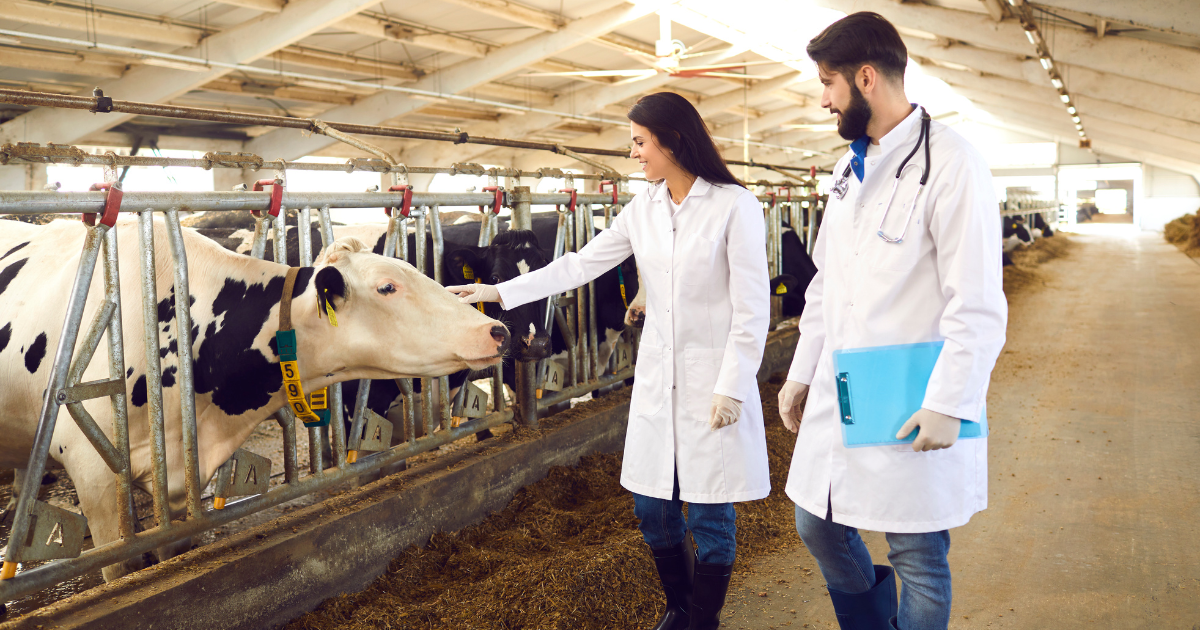auxiliar veterinario