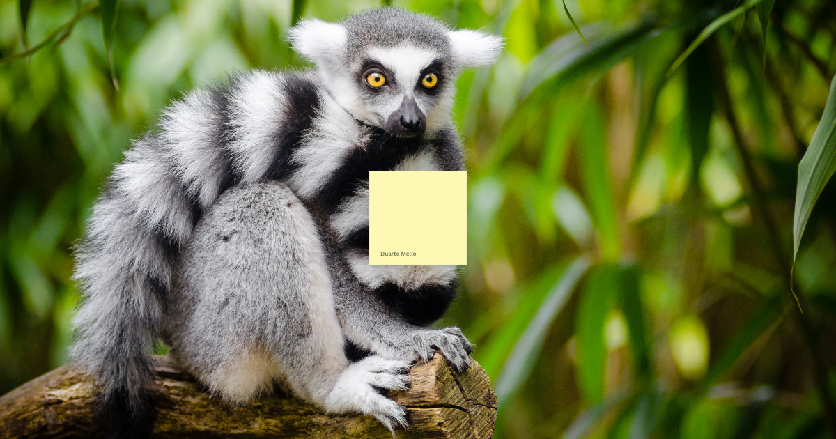 técnico de animales exóticos